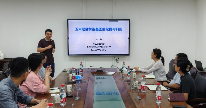 图片3.png 图片3.png
